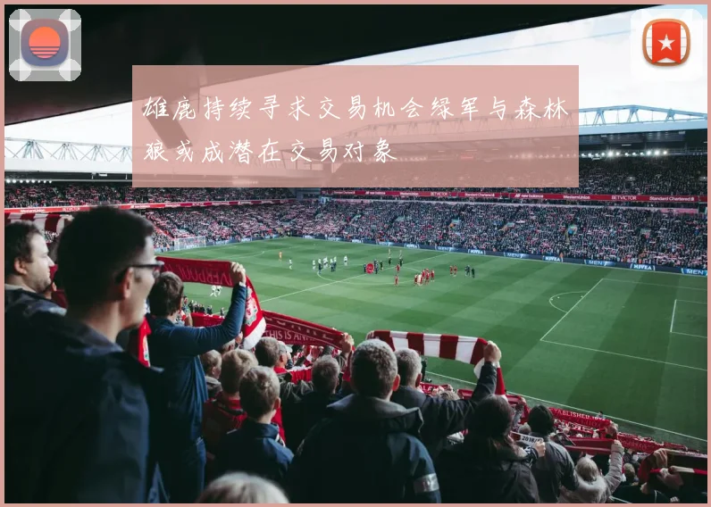 雄鹿持续寻求交易机会绿军与森林狼或成潜在交易对象